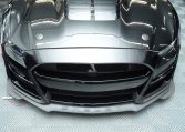 2020 FORD MUSTANG SHELBY GT500 | Carbon Fiber Track Pack | BY APPOINTMENT ONLY